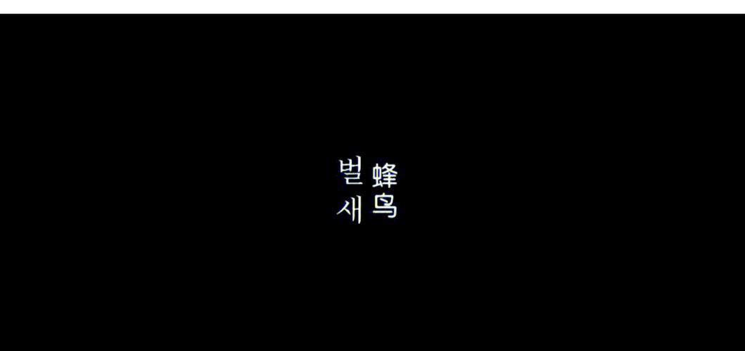 五五理论影院：探索影视创作中的“五五”平衡法则，深度解析经典案例与长尾关键词优化技巧