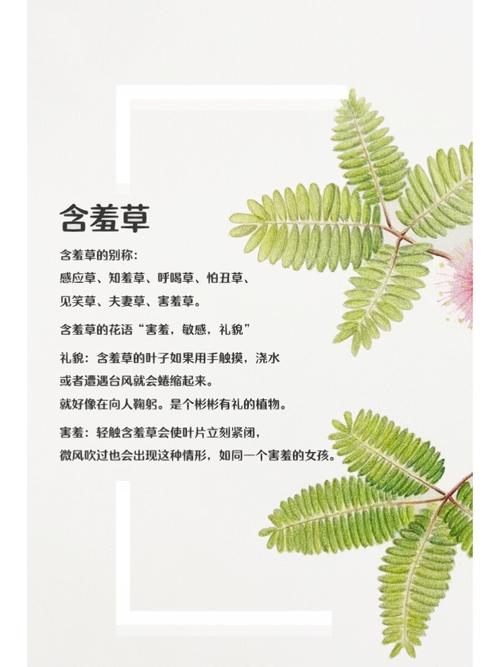 把女生操出白浆的相关介绍