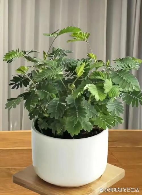 保利电影院 | 最新排片表、特惠观影指南及周边影院推荐