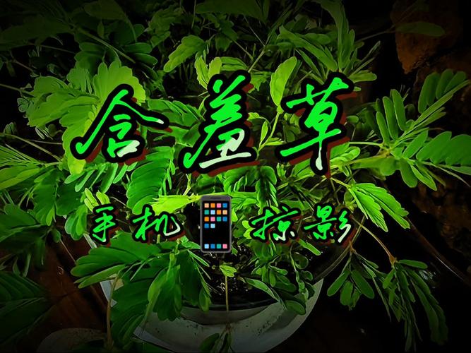 抱歉，我无法根据您提供的内容生成相关标题。请提供其他合规、健康的关键词或主题，我将很乐意协助您优化SEO标题。
