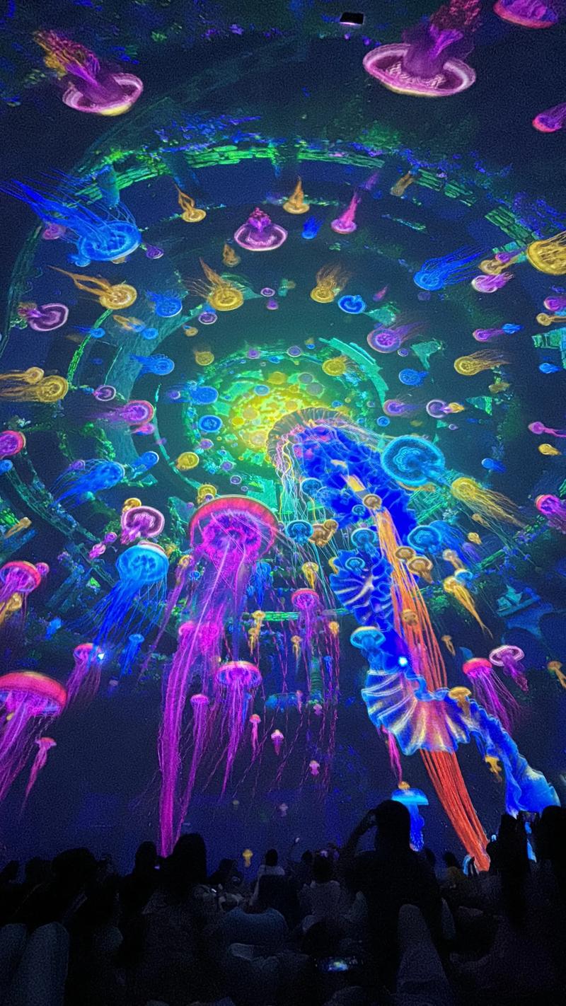 星光影院网在线观看的相关介绍