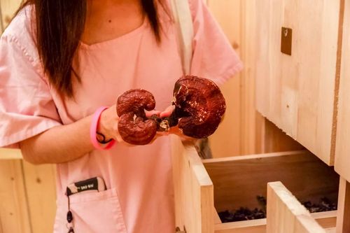 根据yy6080影院生成SEO标题：**yy6080影院 - 最新高清电影免费在线观看，热门影视剧抢先看，免VIP无广告播放**