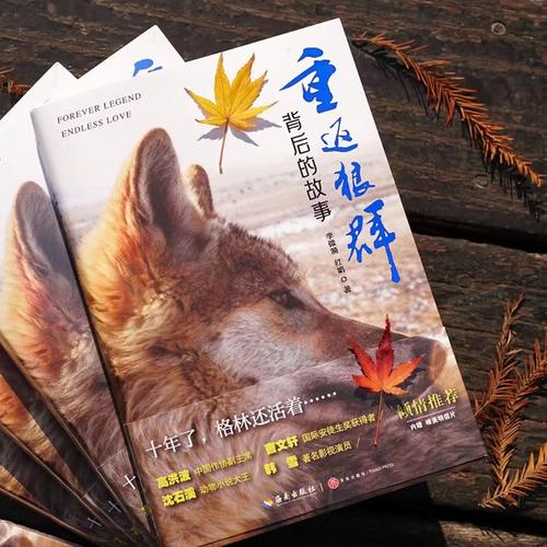 宝宝影院在线观看 - 儿童动画电影大全，高清亲子动画片免费播放，宝宝早教启蒙视频资源