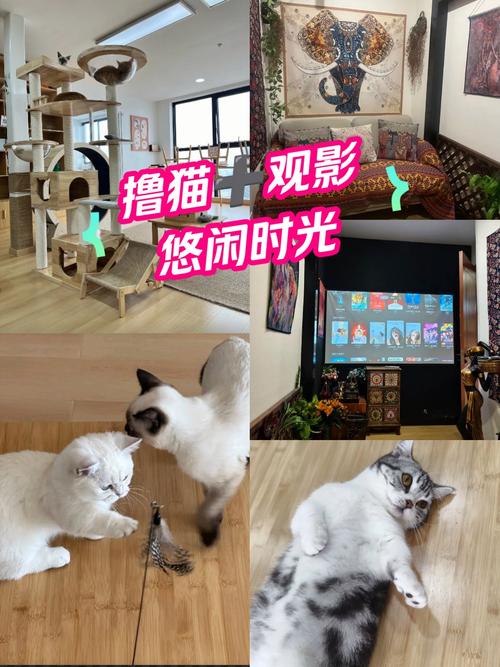 浮力影院限制最新的相关介绍