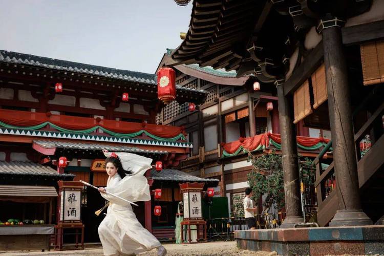 va在线播放的相关介绍