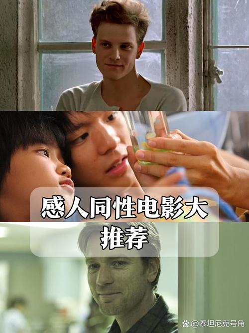 枫花园汽车电影院 | 北京露天汽车影院推荐、情侣约会好去处、夜场观影攻略